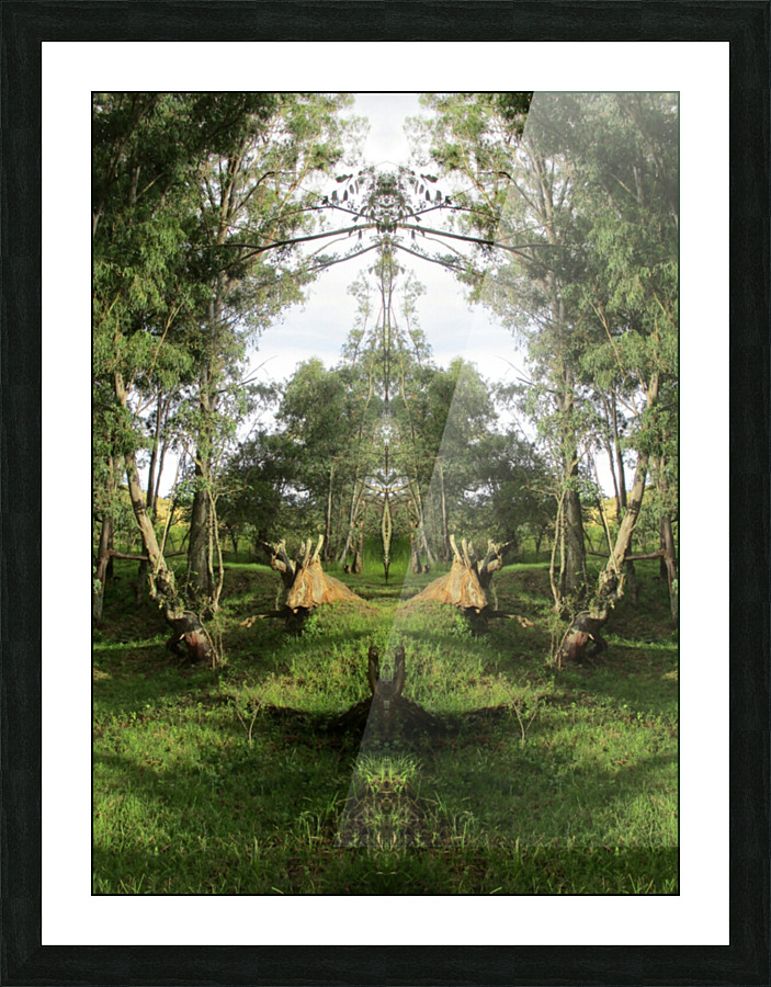 AN APPLE Picture Frame print