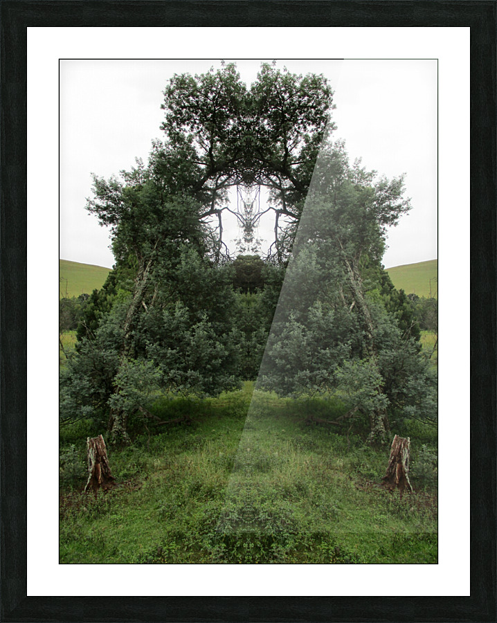WHERE TREES MEET Picture Frame print