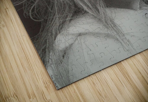 YOLANDI VISSER Tim Glasby puzzle