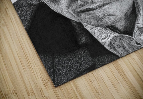 BOB DYLAN Tim Glasby puzzle