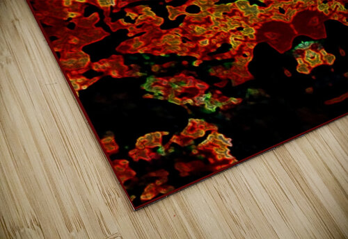 THE FRONT GATE Tim Glasby puzzle