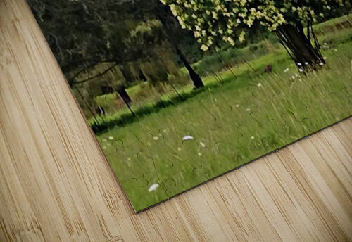 A TOISE TREE Tim Glasby puzzle