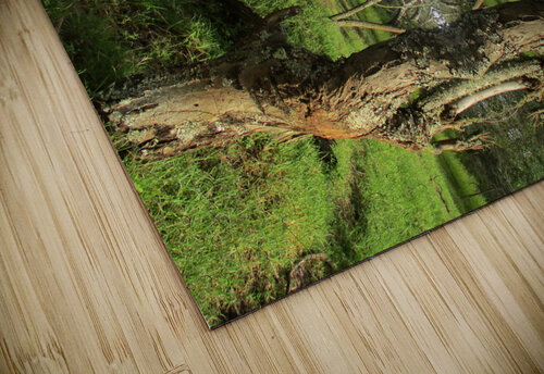 A DEVIDER Tim Glasby puzzle