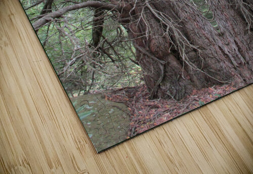 A MOUSES HOUSE Tim Glasby puzzle