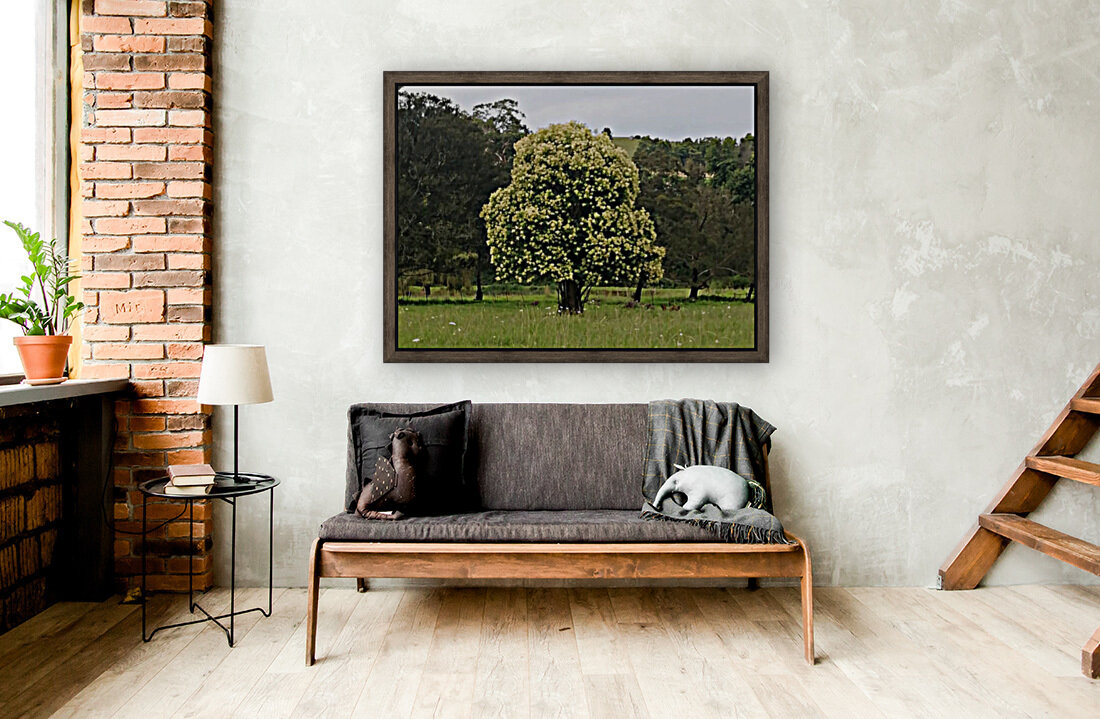 A TOISE TREE Reproduction