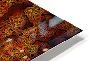 GOLDEN EGGS HD Metal print