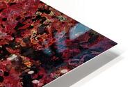 EINSTEIN HD Metal print