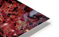 ABSTRACT BIRD HD Metal print
