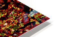 BIG EARS HD Metal print