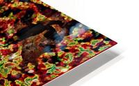 THE YOUNG FOX HD Metal print