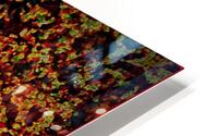 I HD Metal print