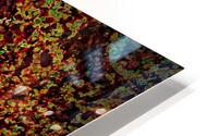 A MEDITATION TOOL HD Metal print