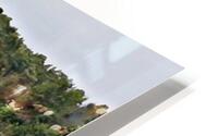 A TOISE TREE HD Metal print