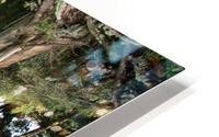 EARTH HD Metal print