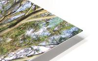 THE GATEWAY HD Metal print