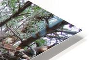 A MOUSES HOUSE HD Metal print