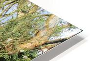 A SACRED PLACE HD Metal print