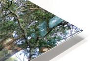 PARK 1 HD Metal print