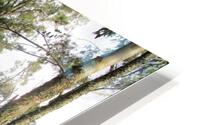 FACING NORTH HD Metal print
