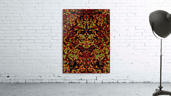 BIG EARS Wall Preview