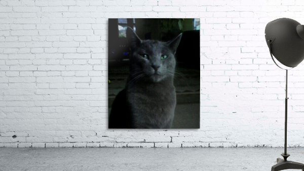 JAMES Wall Preview