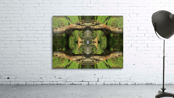 A DEVIDER Wall Preview