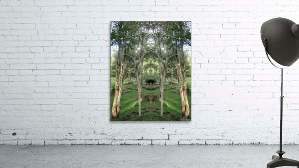 PARK 1 Wall Preview