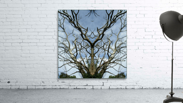 A BUCK TREE Wall Preview