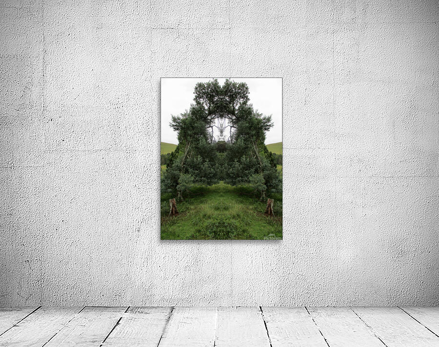 WHERE TREES MEET Wall Preview