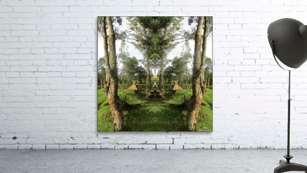 FACING NORTH Wall Preview