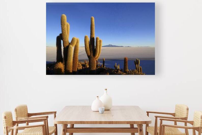Echinopsis cacti at sunrise and Tunupa volcano Salar de Uyuni by Magical Andes Photography
