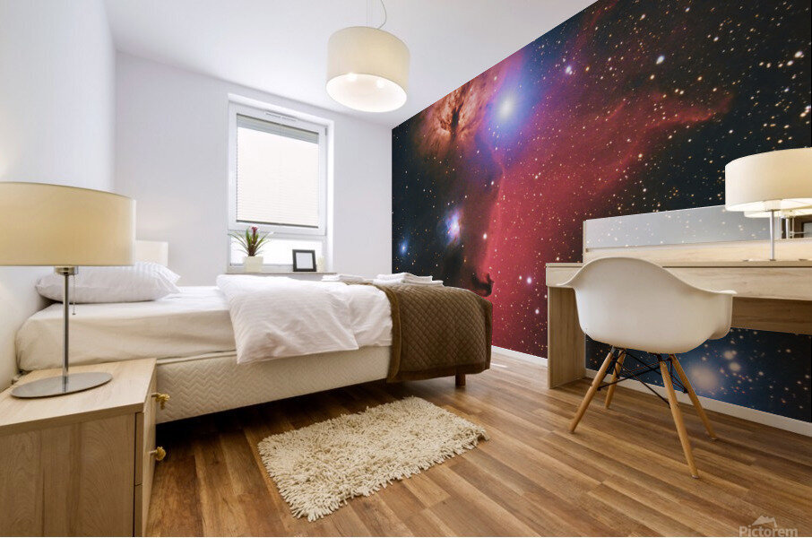 Flame Horsehead Mural print