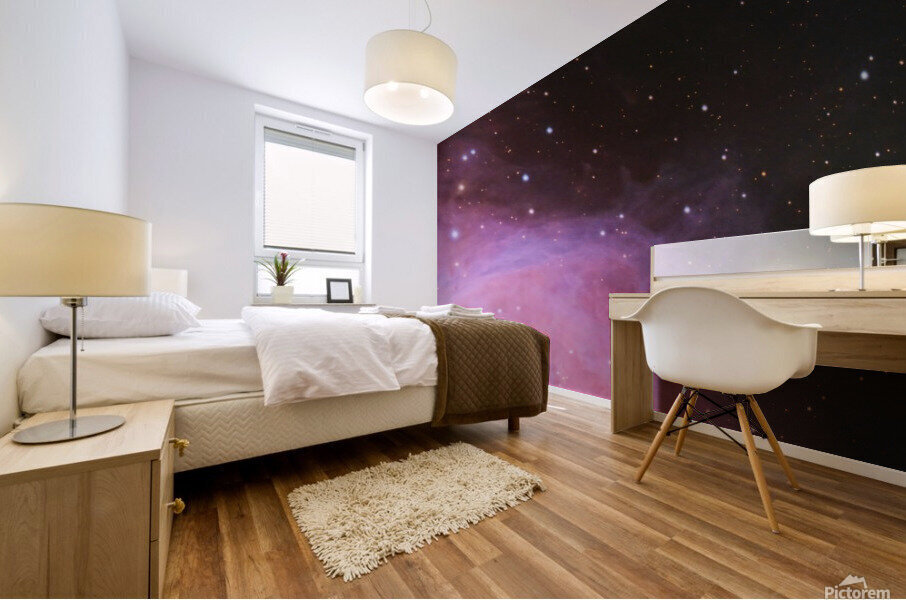 Great Orion Mural print