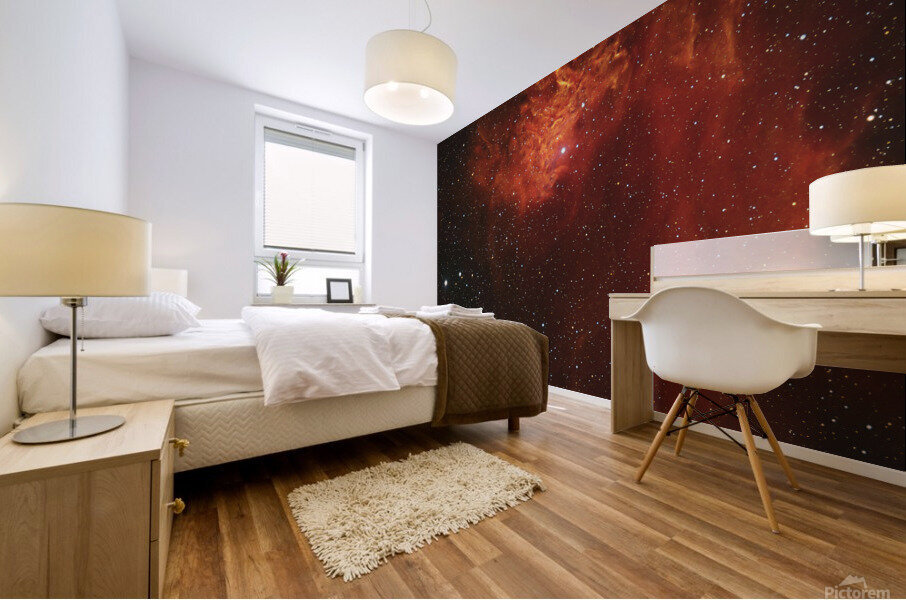 Flaming Star Mural print