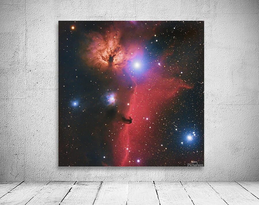 Flame Horsehead Wall Preview
