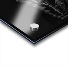 IMG 9300 Acrylic print