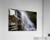 IMG 9285 Acrylic Print