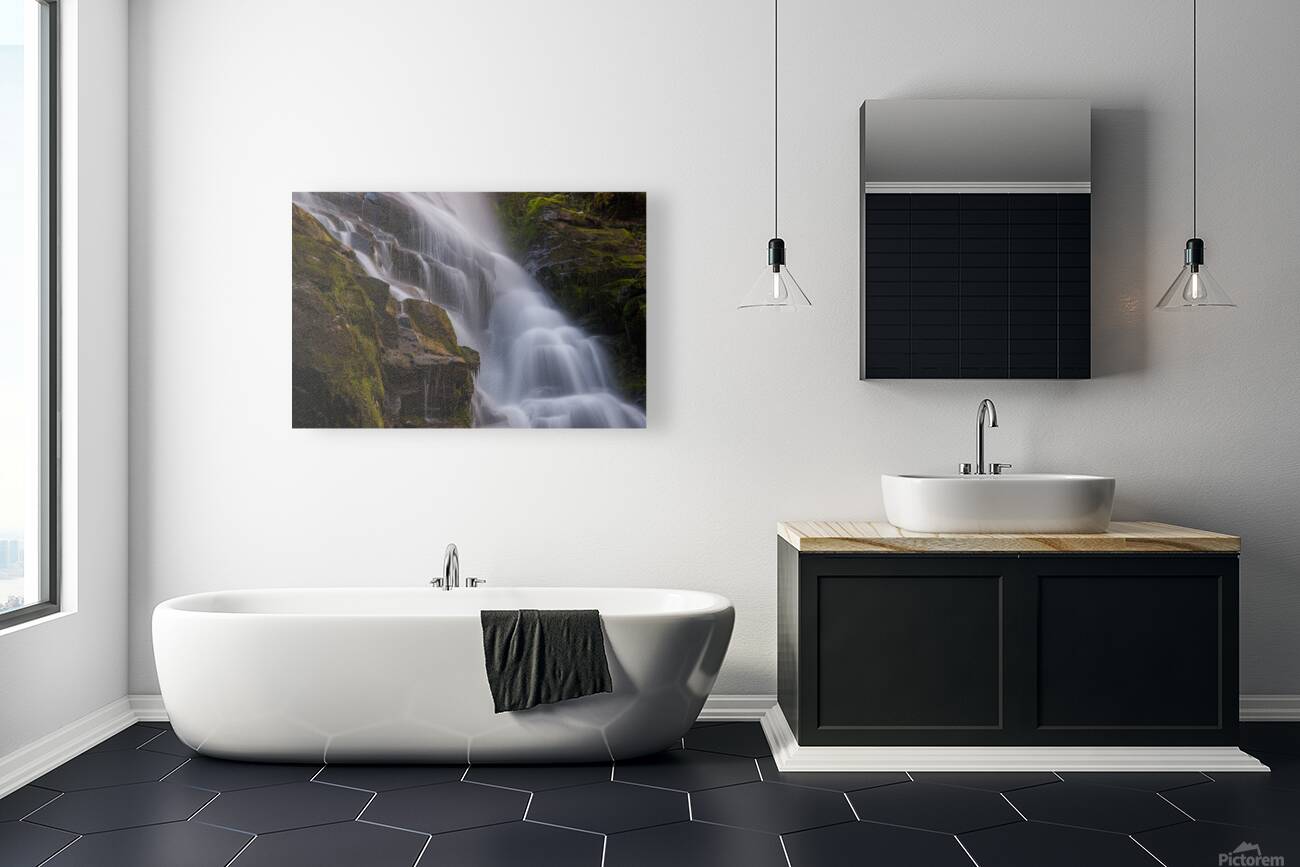 IMG 9285 Reproduction