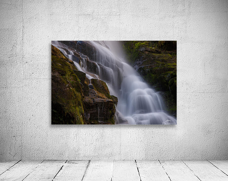 IMG 9285 Wall Preview