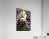 Irish fiddle Acrylic Print