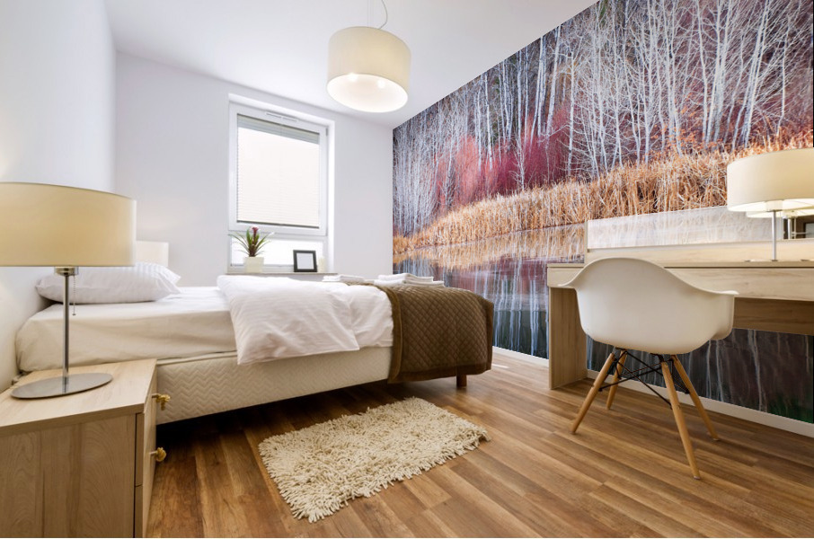 Winter Aspen Reflections Mural print