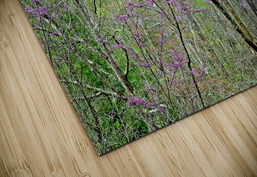 Redbud Portrait  Bruce Heinemann puzzle