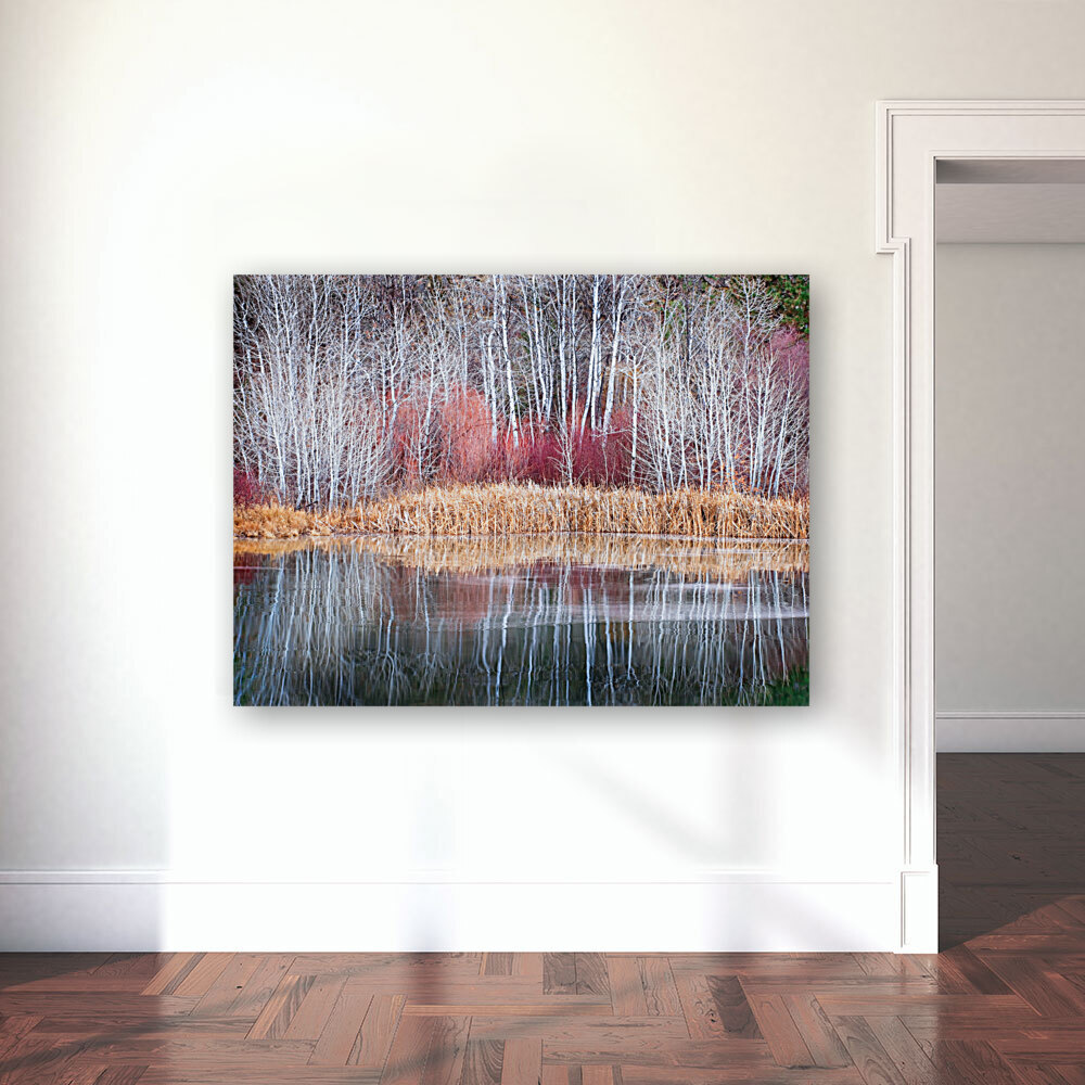 Winter Aspen Reflections Reproduction