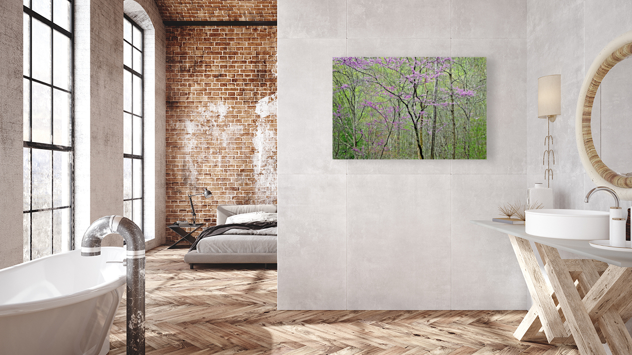 Redbud Portrait  Reproduction
