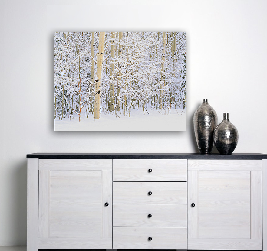 Quiet Winter Aspen Reproduction