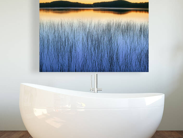 Reeds in Pond at Twilight by Bruce Heinemann
