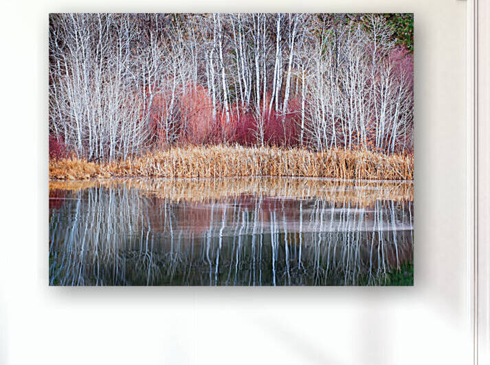 Winter Aspen Reflections by Bruce Heinemann