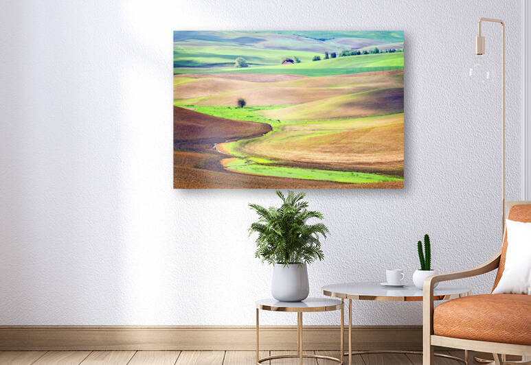Spring Wheat fields in the Palouse Hills by Bruce Heinemann