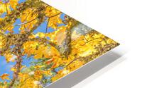 Heavenly Joy HD Metal print