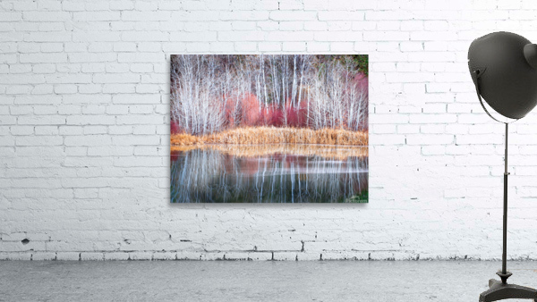 Winter Aspen Reflections Wall Preview
